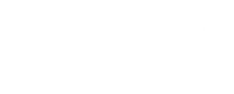 Logo MitasTyres
