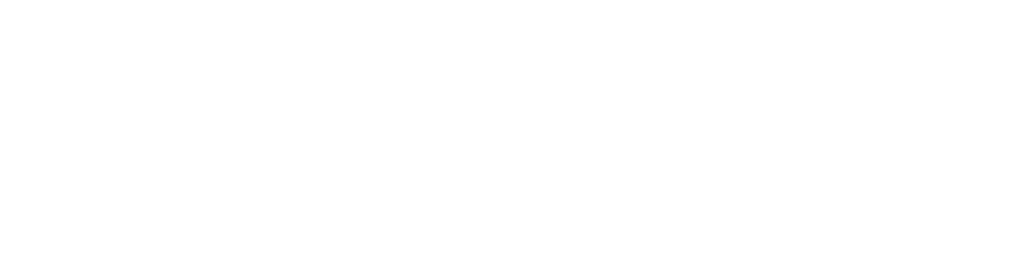 Logo fujita