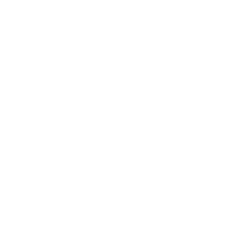 Logo Fidea