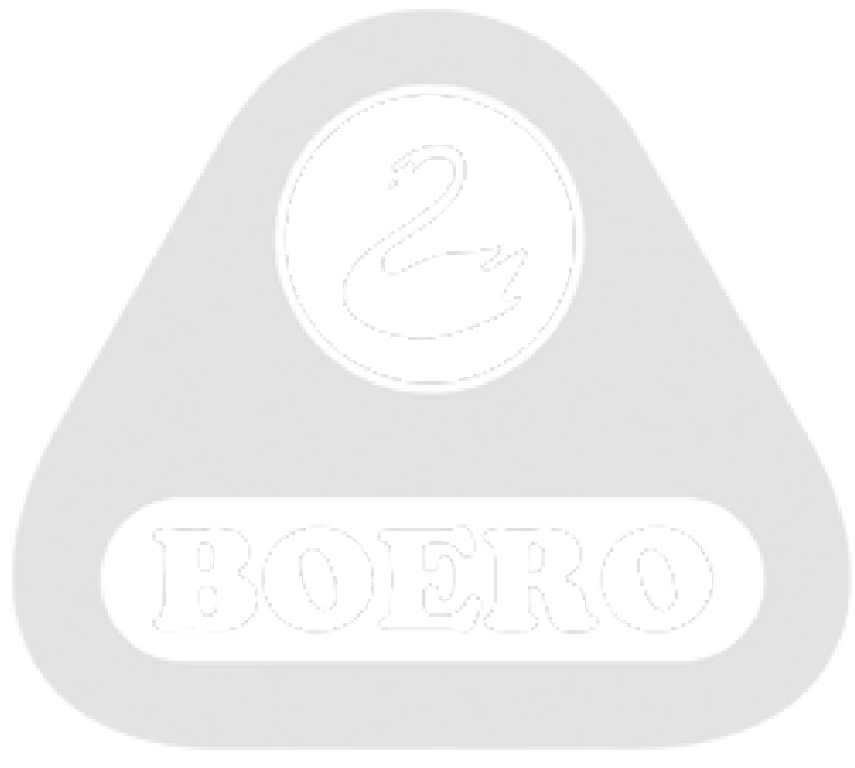 Logo Boero