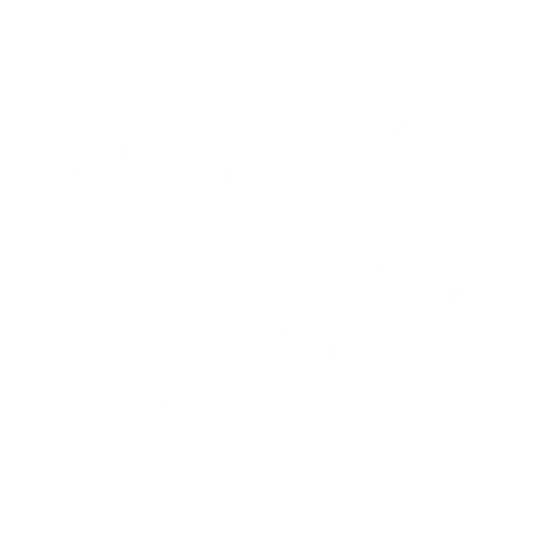 Logo BigRed Torin